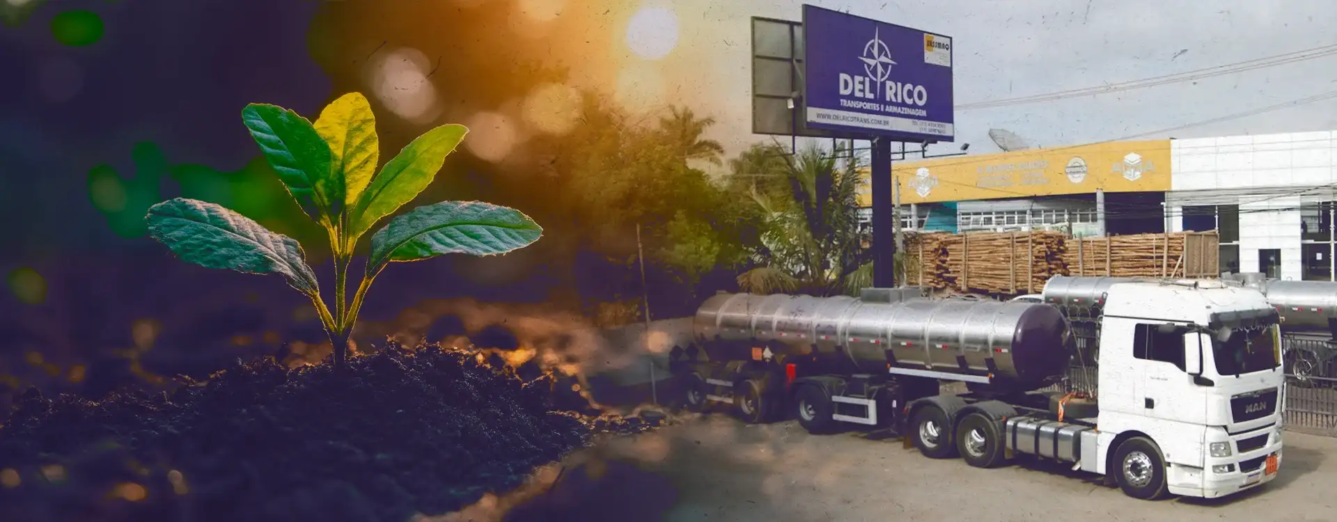 Cuidado com o Meio Ambiente